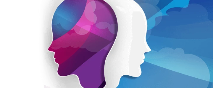 Fundamentals of Bipolar Disorder