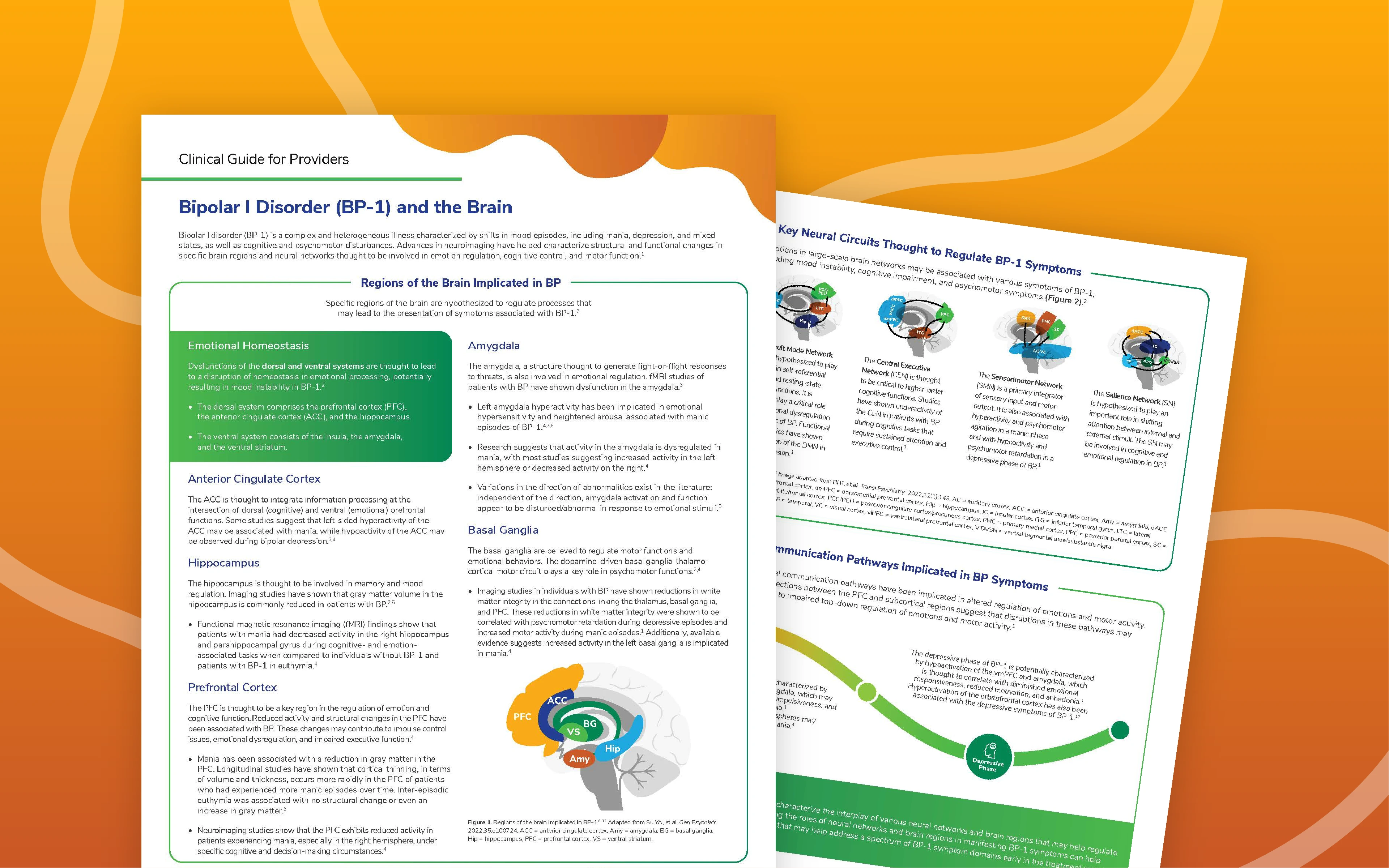 Bipolar I Disorder (BP-1) and the Brain