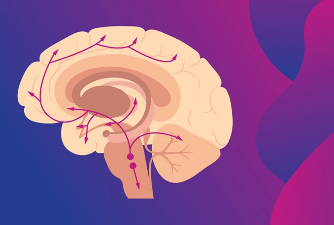 Fundamentals of Psychopharmacology